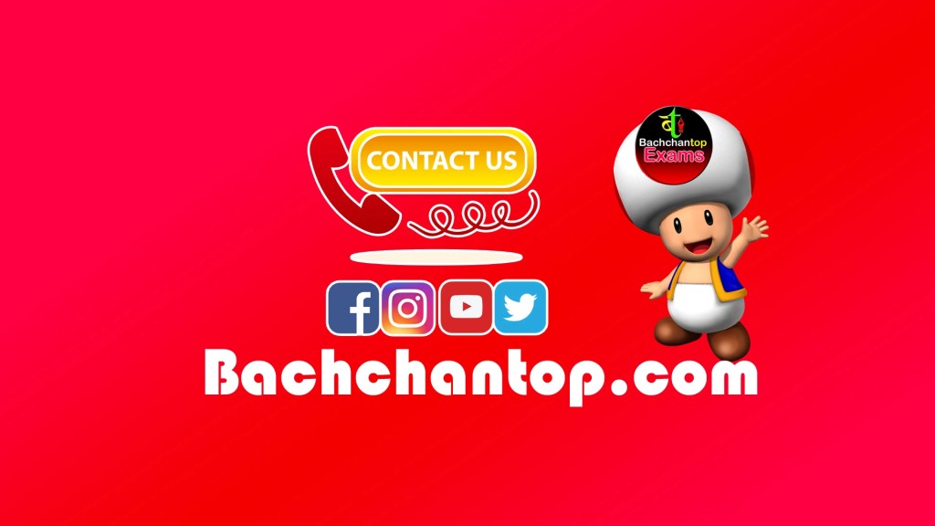 bachchantop contact us