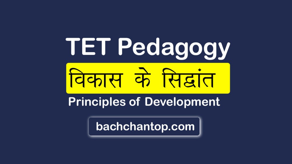 TETE Pedagogy notes in hindi Topic : Principles of Development in hindi